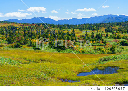 草紅葉の天空の楽園 苗場山 百名山登山 新潟 草紅葉の天空の楽園 苗場山 百名山登山 新潟 100763037