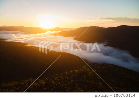 Aerial view of amazing scenery with foggy dark mountain forest pine trees at autumn sunrise. Beautiful wild woodland with shining rays of light at dawn 100763114