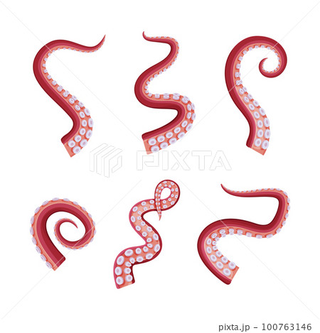 Octopus Tentacle as Part of Sea Animal Vector Set Octopus Tentacle as Part of Sea Animal Vector Set 100763146