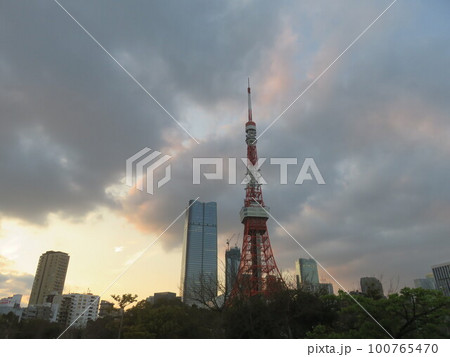 夕暮れ時の東京 100765470