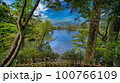 高台の木々の間から見える青空が反射する池 100766109