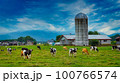 北海道で放牧されている牛達とサイロ 100766574