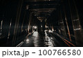 薄暗い廃道の地下道 100766580