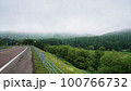 霧が出ている森と道路 100766732