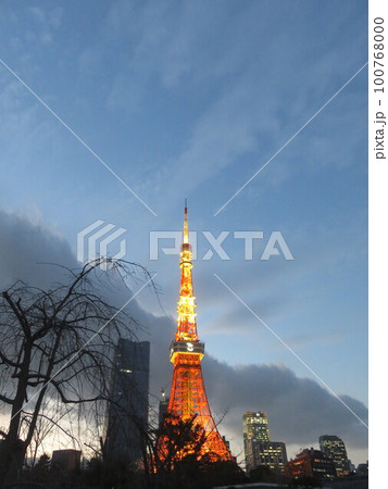 夕暮れの空と東京タワー 100768000