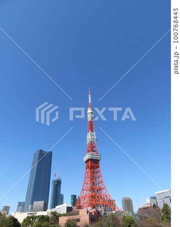 青空と東京タワー 100768445