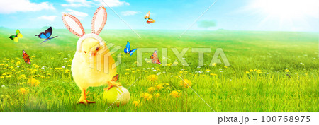 Little cute newborn baby chick for Easter celebration. Little cute newborn baby chick for Easter celebration. 100768975