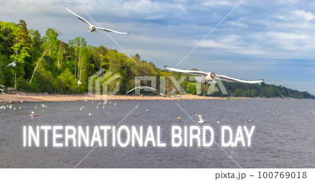 World Bird Day, perfect for world migratory bird day, celebrate, greeting card. Selective focus 100769018