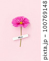 Calendar spring month May and beautiful flower on pink background. Top view Flat lay. Minimal concept Hello May. Top view, Flat lay, greeting card 100769148