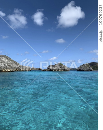 (東京都)太陽に照らされて青く輝く海 100769238