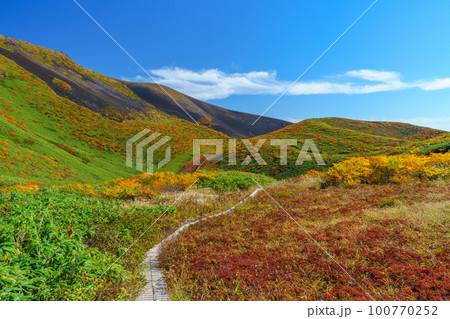 秋田駒ケ岳登山  絶景の紅葉のムーミン谷 100770252