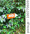 Mountain wooden signboard 100770609