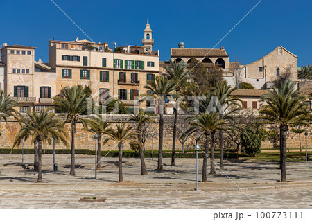 La Calatrava quarter in historic centre of Palma, Majorca, Mallorca, Balearic Islands, Spain, Europe La Calatrava quarter in historic centre of Palma, Majorca, Mallorca, Balearic Islands, Spain, Europe 100773111