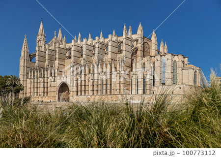 Palma Cathedral La Seu in Palma, Majorca, Mallorca, Balearic Islands, Spain, Europe 100773112