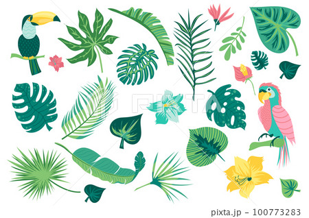 Hello summer set graphic elements in flat design. Bundle of toucan, parrot, tropical leaves and exotic flowers, wildlife green plants and jungle fresh foliage. Vector illustration isolated objects 100773283