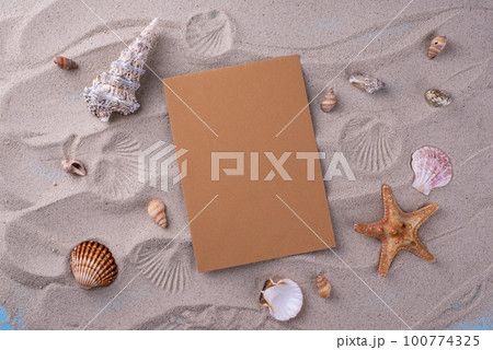 Summer nautical marine background with shell Summer nautical marine background with shell 100774325