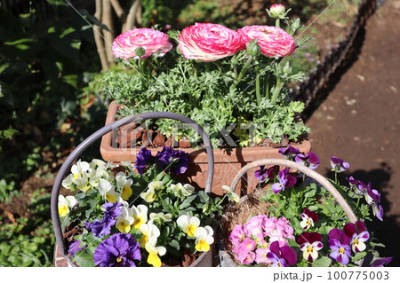 花の寄せ植え＆花の寄せ鉢 100775003