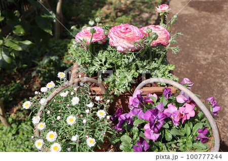 花の寄せ植え＆花の寄せ鉢 100777244