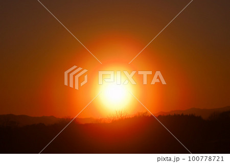 宇都宮市　夕暮れの花粉光環 100778721