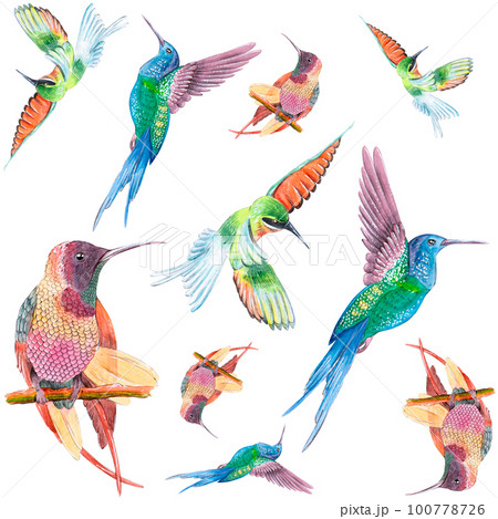 Hummingbird watercolor seamless pattern on white background. It can be used in printing on textiles, paper, packaging Hummingbird watercolor seamless pattern on white background. It can be used in printing on textiles, paper, packaging 100778726