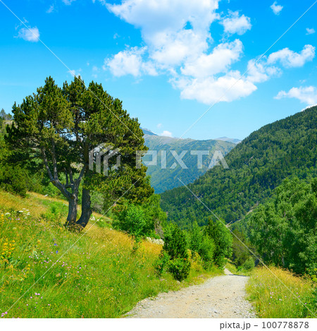 Rocky path in mountains covered with forest Rocky path in mountains covered with forest 100778878
