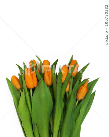 Big bouquet of fresh orange tulips, isolated on white background Big bouquet of fresh orange tulips, isolated on white background 100780382