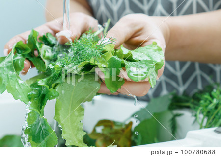 Female hands rinsing fresh greens leaves under water jet in kitchen sink closeup. Cooking, prepare ingredients. 100780688