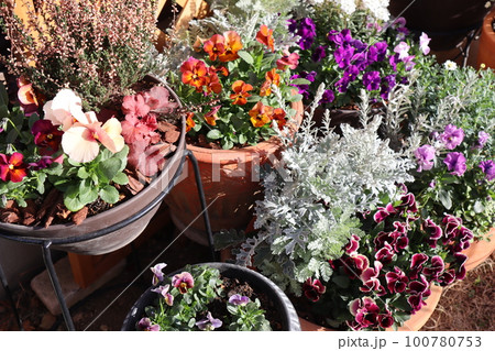花の寄せ植え＆花の寄せ鉢 100780753