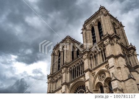 Cathedral Notre Dame On Ile De La Cite In Paris, France Cathedral Notre Dame On Ile De La Cite In Paris, France 100781117