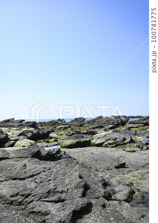 城ヶ島海岸の風景【神奈川県三浦市】 100781775