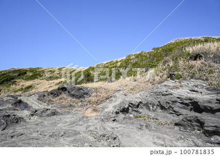 城ヶ島海岸の風景【神奈川県三浦市】 城ヶ島海岸の風景【神奈川県三浦市】 100781835