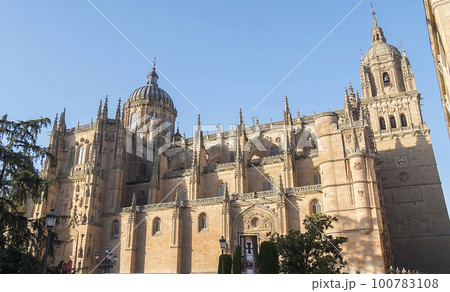 Panoramic photo of Salamanca catedral in Spain 100783108