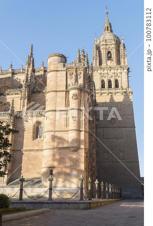 Photo detail of part of the Salamanca catedral in Spain 100783112