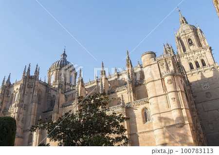 Photo detail of part of the Salamanca catedral in Spain 100783113