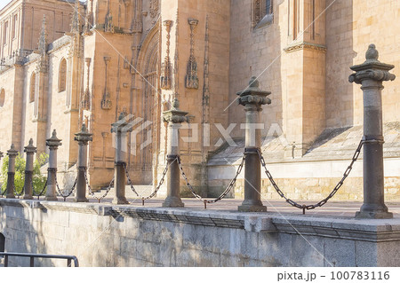 Photo detail of part of the Salamanca catedral in Spain 100783116