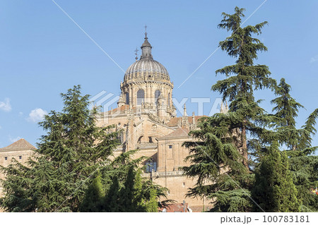 Photo detail of part of the Salamanca catedral in Spain 100783181