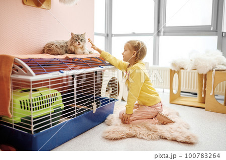 Happy smiling little girl child playing with cat indoors Happy smiling little girl child playing with cat indoors 100783264