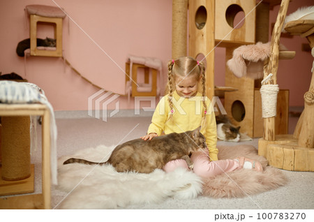 Cute smiling girl playing with cat in shelter for domestic animal 100783270