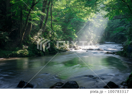 美流と光芒と新緑 100783317