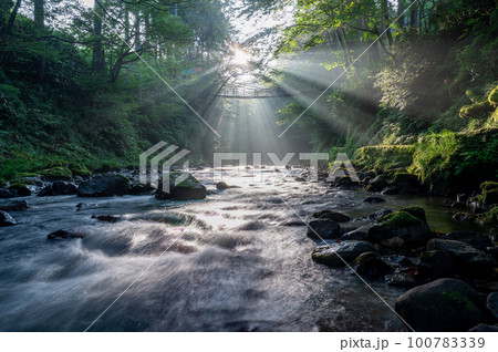 美流と光芒と新緑 100783339
