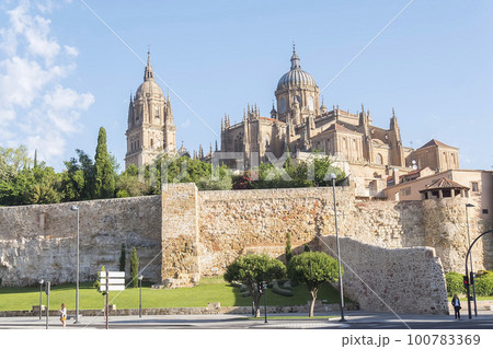 Photo detail of part of the Salamanca catedral in Spain Photo detail of part of the Salamanca catedral in Spain 100783369