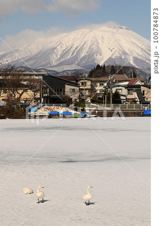 高松の池から見える岩手山 100784873