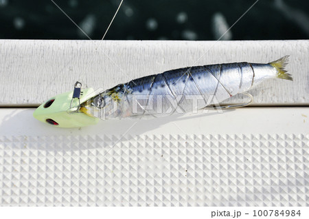 釣りのエサに使うサンマ 釣りのエサに使うサンマ 100784984