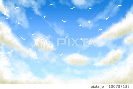 青空と雲と羽ばたく鳥 100787185