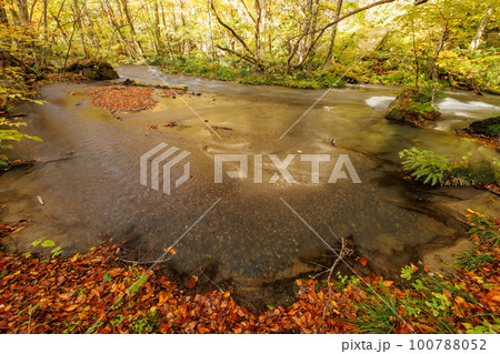 晩秋の奥入瀬渓流のワンド（青森県） 100788052
