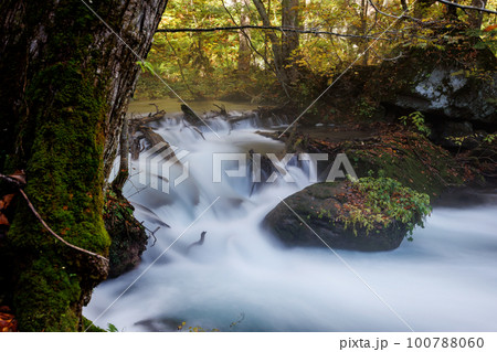 晩秋の奥入瀬渓流の上流部の流れ（青森県）スローシャッター 100788060