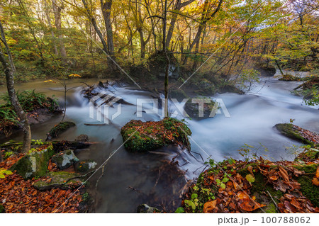 晩秋の奥入瀬渓流の上流部の流れ（青森県）スローシャッター 100788062