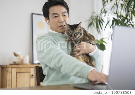 猫のいる部屋でデスクワークをする50代男性 猫のいる部屋でデスクワークをする50代男性 100788503