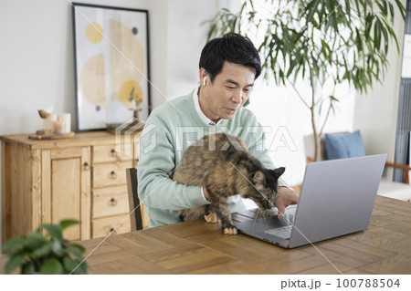 猫のいる部屋でデスクワークをする50代男性 100788504