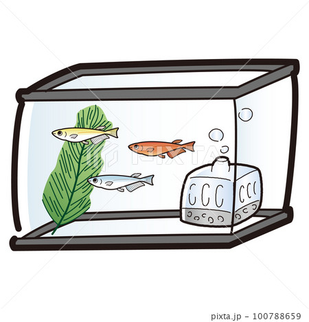 メダカのいる水槽のイラスト メダカのいる水槽のイラスト 100788659
